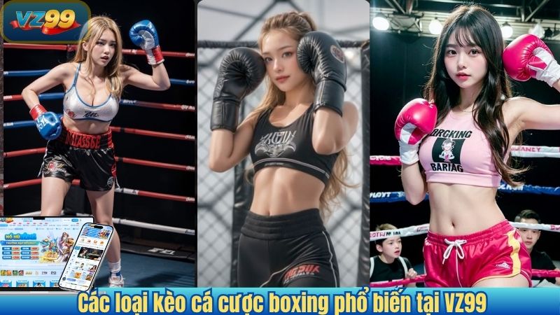 Cá cược Boxing 2026 – Hướng dẫn chi tiết cho người chơi mới 2 Các loại kèo cá cược boxing phổ biến tại VZ99