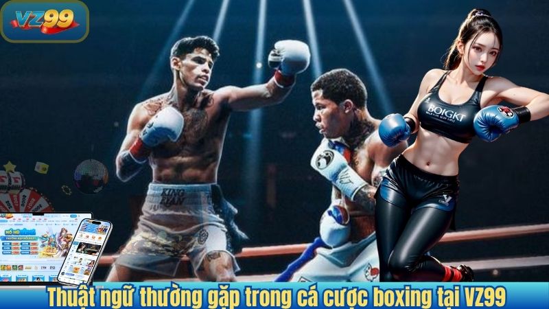 Cá cược Boxing 2026 – Hướng dẫn chi tiết cho người chơi mới 3 Thuật ngữ thường gặp trong cá cược boxing tại VZ99