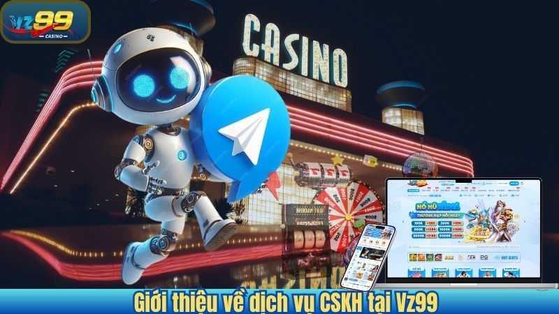 Giới thiệu về dịch vụ CSKH tại Vz99
