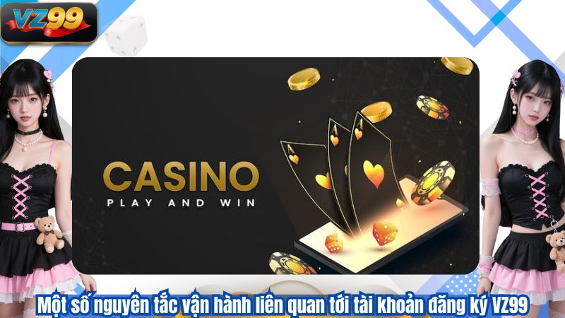 Một số nguyên tắc vận hành liên quan tới tài khoản đăng ký VZ99