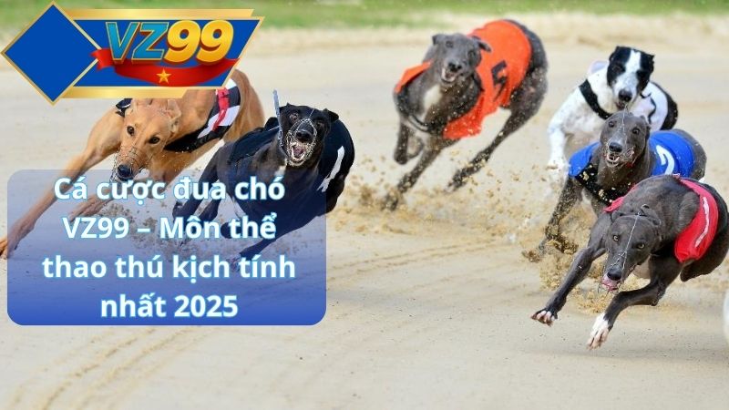 Cá cược đua chó VZ99 – Môn thể thao thú kịch tính nhất 2025